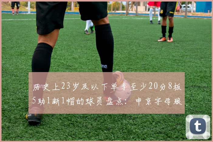 历史上23岁及以下单季至少20分8板5助1断1帽的球员盘点：申京字母狼王等人