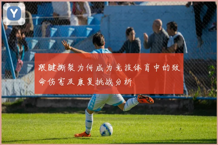跟腱撕裂为何成为竞技体育中的致命伤害及康复挑战分析