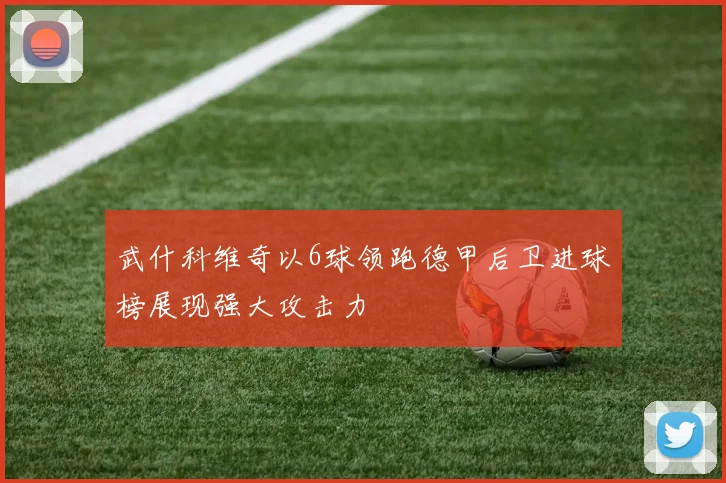 武什科维奇以6球领跑德甲后卫进球榜展现强大攻击力