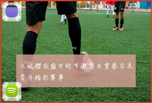 江城樱花盛开时节邀您共赏春日美景与精彩赛事